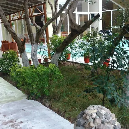 Vila Blend